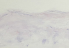 The Silent Mountains-75x200-Oil on Canvas